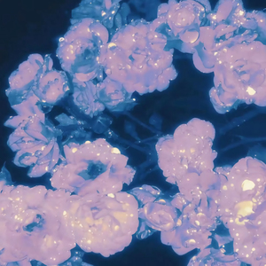 精品人妻一区二区三区视频下架
